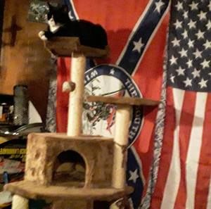 Meet your Posher, Ronald